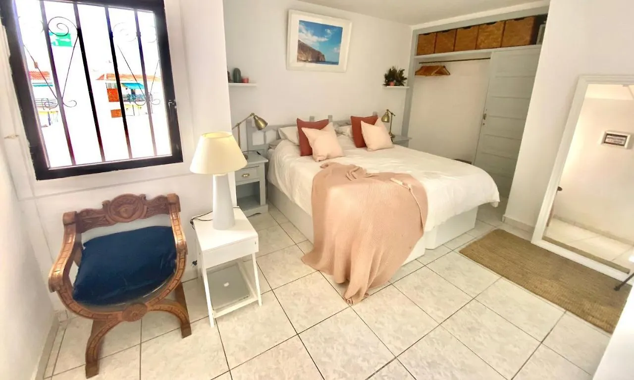 Sea View Penthouse With Large Terrace Apartment Los Cristianos